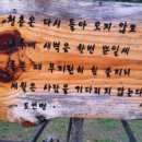 (주)요즘 이미지