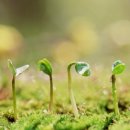 서울종묘사 이미지