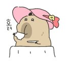 콩마담
