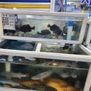 자연횟집 이미지