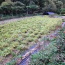 동춘천농협 경제사업소 이미지