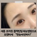 조치원_자이아파트119동 | 세종 조치원 블랙틴팅 속눈썹펌으로 또렷하게 “한눈에 반하다”