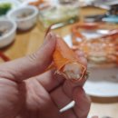 (가성비 최고!) 후포리홍대오빠 선주직배송 - 비품대게&amp;박달홍게