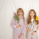 새벽컴퍼니 파이낸셜뉴스