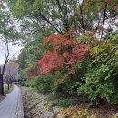 성수사슴농장 이미지