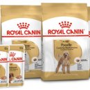 PUPPY HILL'S 이미지