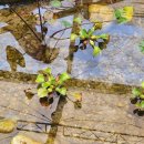 세정 행정사 사무소 이미지