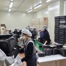 (주)프레시웰푸드 이미지