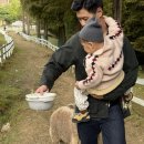 대망목장 이미지