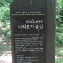 나리문구