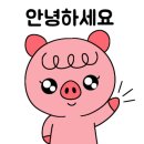 중앙동할매닭발 네이버블로그