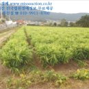 모월보건진료소 이미지