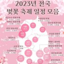 2023년 전국 벚꽃축제 일정 이미지