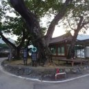 방광회관 이미지