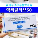 초코약국 이미지