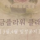 라이스에듀랩 이미지