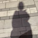 김포한강2로-R 이미지