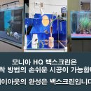 모니아(MONIA) 이미지