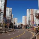 미소시티약국 이미지