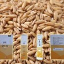 포항노다지마을 이미지