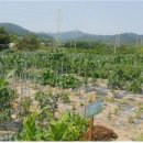 큰마을 농장 이미지