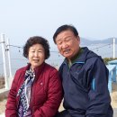 진도국악고등학교 이미지