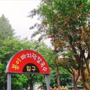 일산칼국수 앞 이미지