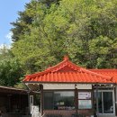 동해-단속-47 | 강릉 / 본가 동해막국수, 생활의달인 나온 연곡면 막국수 맛집 솔직후기