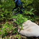 파머스하우스 이미지