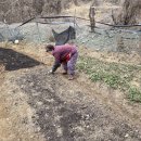 춘기농장 이미지