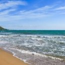 칠포해수욕장 이미지