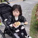 부천중앙공원 광장 | 2025 부천 마라톤 유모차런 참가 후기