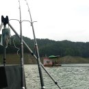 용성좌대 이미지