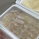 다대씨파크 이미지