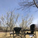 송림셀프세차 | 이마트 트레이더스 신상품 쫀득소보루치즈 빵 후기!!