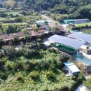 대유태양광발전소 이미지