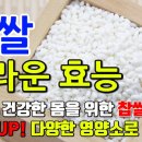 찹쌀 놀러운 효능 이미지