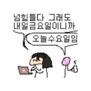 잼희진 6월 첫 주 일상 구경오세유