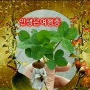 애견호텔 "중독" 이미지