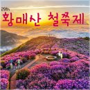 황매산 철쭉제 이미지