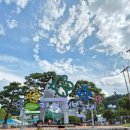 무주읍110 | 2025년 9월 전북 무주 반딧불이 축제 직접 다녀왔어요.