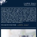 주식회사 라피스 이미지