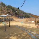 커피팜 네이버블로그