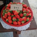 풀먹우