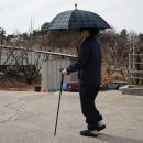 주식회사 티엘파트너센터 | 더돌봄 미끄럼방지 우산지팡이 사용해 보니 노인지팡이 추천 이유 확실 비가 와도 끄떡없는 부모님 외출...