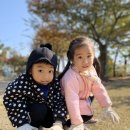 수니유치원 이미지