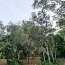 화이트샌드 이미지