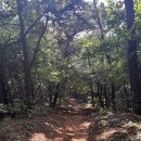 뷰티풀한방병원 이미지