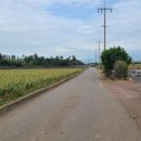 상모리-1 이미지