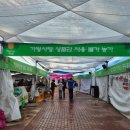 자라섬 관광안내소 이미지